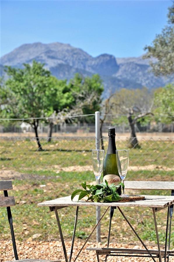 Ca'N Guiri, Eco Finca In Mallorca Campanet Luaran gambar